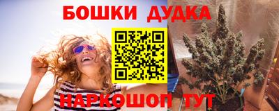 соль ск Будённовск