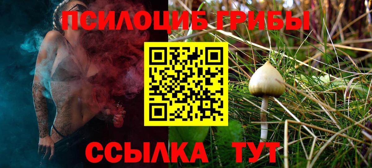 Галлюциногенные грибы Psilocybine cubensis Георгиевск