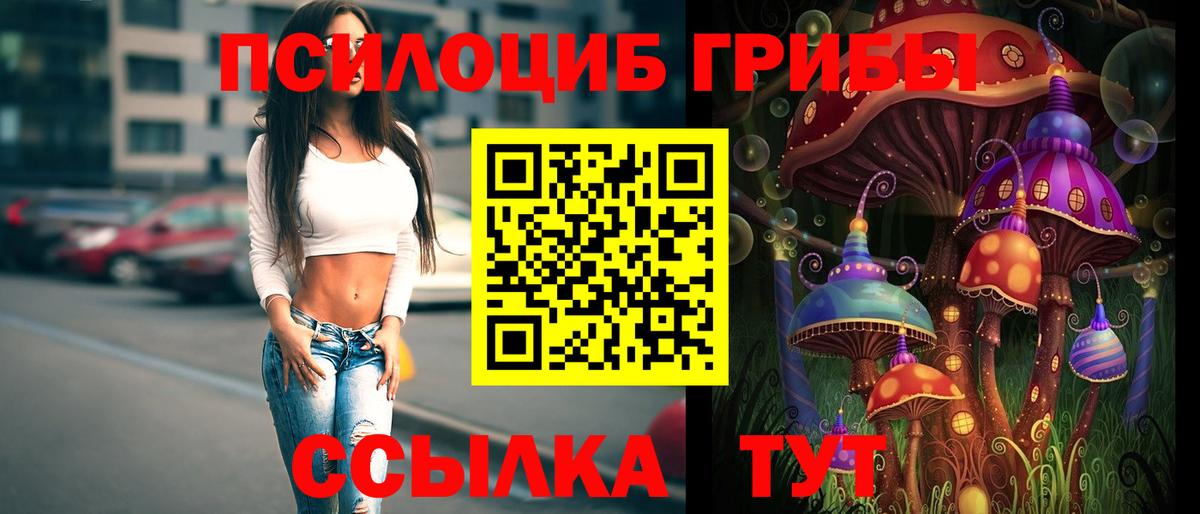 Псилоцибиновые грибы мицелий  Вход с VPN  цены   Георгиевск 